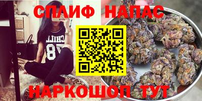крисы Ачхой-Мартан