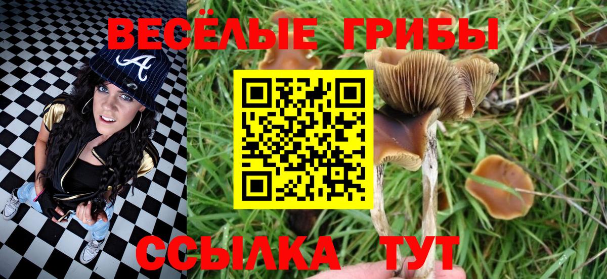 Галлюциногенные грибы MAGIC MUSHROOMS  Вход с VPN  Артём 