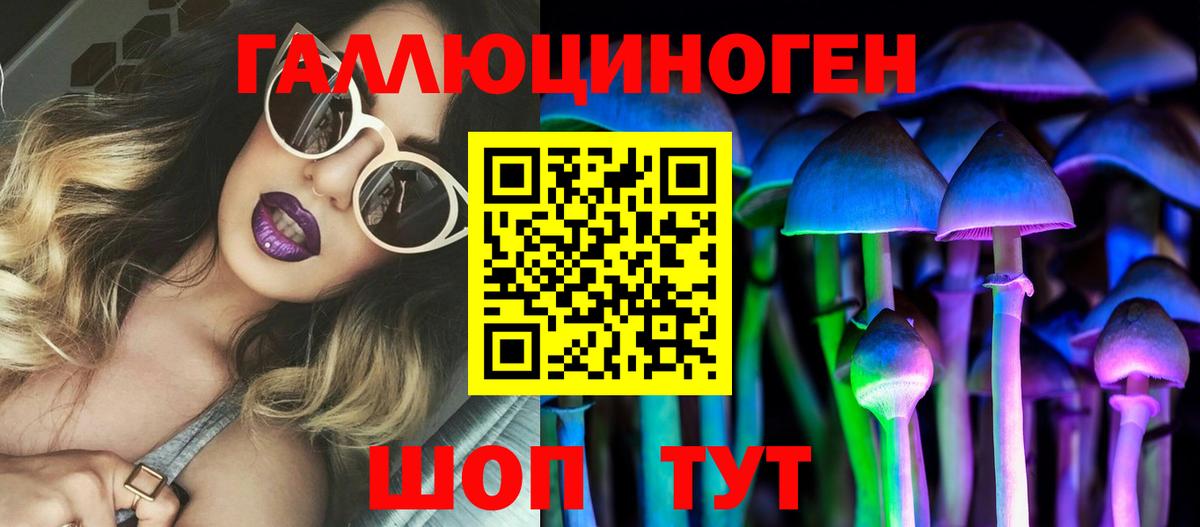 Галлюциногенные грибы GOLDEN TEACHER  Артём  Псилоцибиновые грибы Psilocybe 